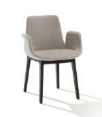 Elephant - Görsel 4